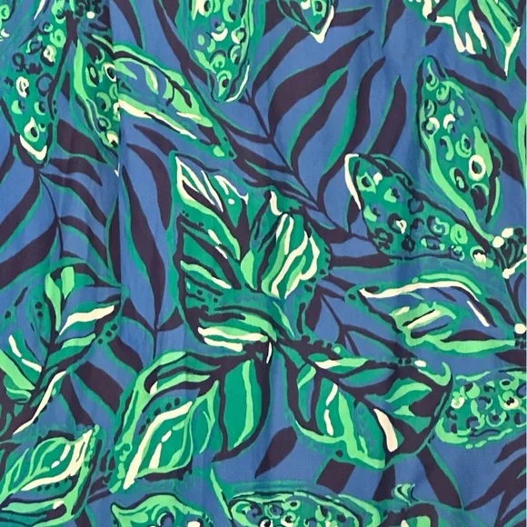 Lilly Pulitzer Lakira Cotton Vibrant Blue and Green Maxi Dress Size Small - Picture 4 of 9